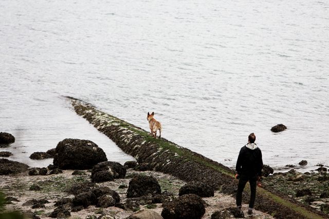 Man and dog walking by ocean on rocky beach on overcast day. Dog standing further up on rock path. Ideal for themes of exploration, companionship, and outdoor adventure. Useful for blogs, travel guides, and nature retreats advertisements.