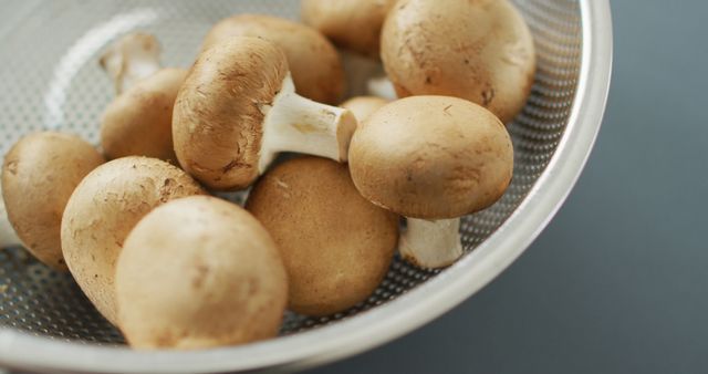 Fresh Mushrooms in Stainless Steel Bowl Close Up - Download Free Stock Images Pikwizard.com