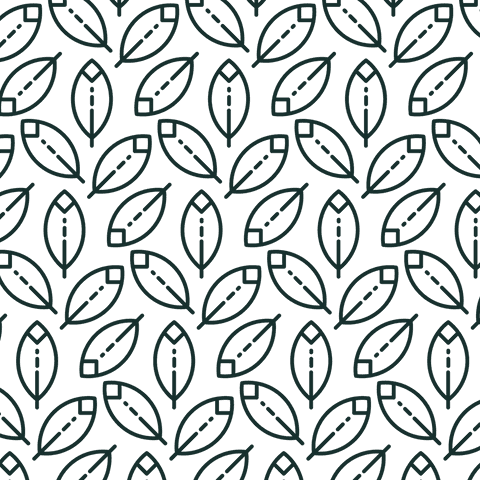 elegant black leaf pattern on transparent background for stylish design - Download Free Stock Videos Pikwizard.com
