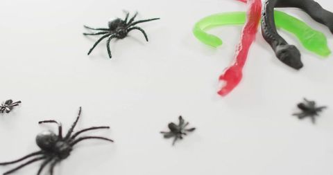 Halloween gummy worms and black plastic spiders crawling across clean white background