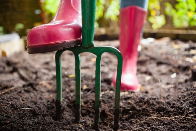 Low section of woman wearing pink rubber boot standing with gardening fork on dirt at backyard