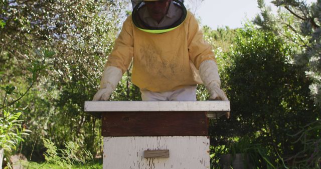 Caucasian male beekeeper in protective clothing opening beehive. apiary and honey making, small agricultural business and hobby.