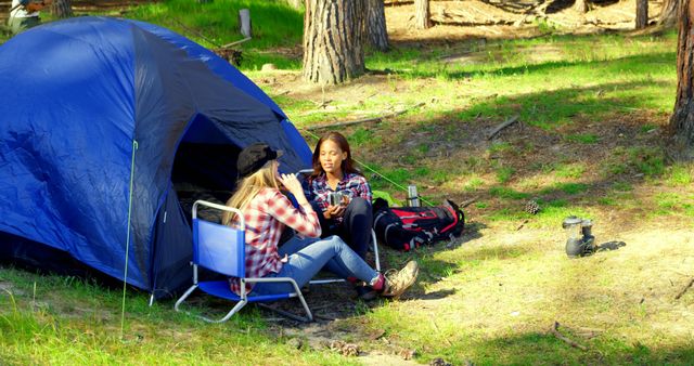 Female Hikers Relaxing by Tent in Sunny Forest Setting - Download Free Stock Images Pikwizard.com