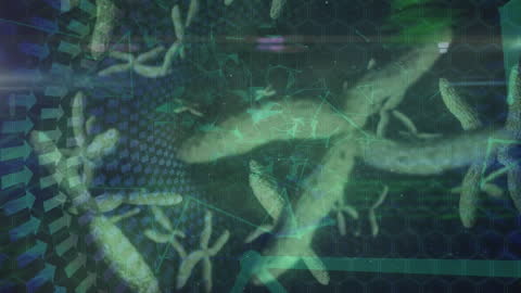 Futuristic DNA Sequence and Data Analysis