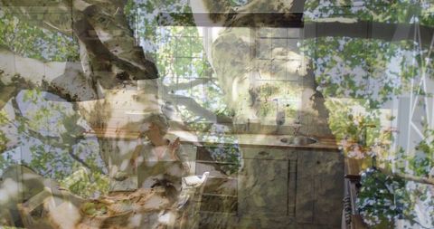 Elderly woman gesturing at kitchen table with sunlit birch canopy double exposure