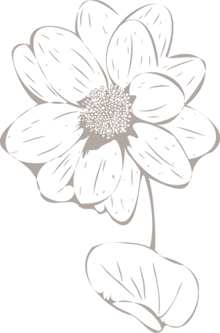 Line-art flower illustration with transparent effect
