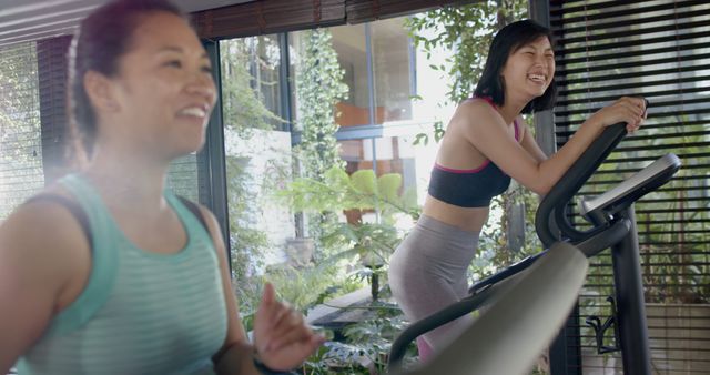 Two Smiling Women Exercising Together on Elliptical and Treadmill in Gym - Download Free Stock Images Pikwizard.com