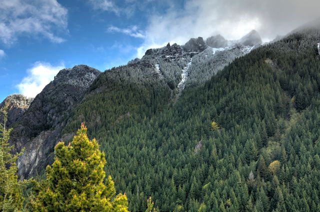 Image showcases a picturesque view of lush, green forests covering the lower mountains with snow-capped peaks rising in the background under a partly cloudy sky. Ideal for promoting nature tourism, outdoor adventures, environmental campaigns, and travel blogs.