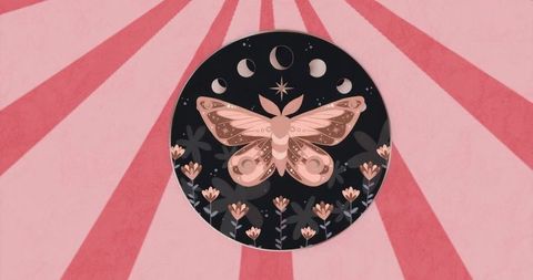 Fantasy Moth with Lunar Phases on Abstract Floral Background