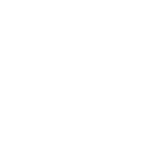 intricate white cobweb design on transparent background - Download Free Stock Videos Pikwizard.com