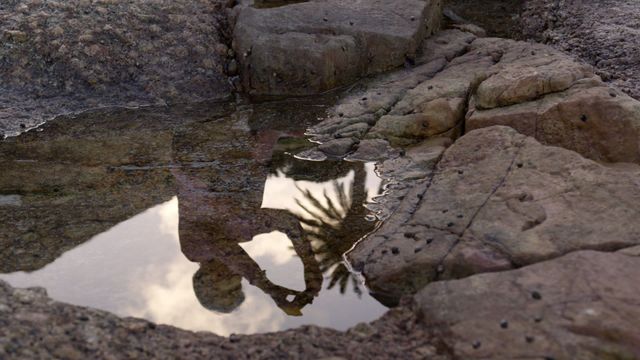 This serene scene depicts a reflection of a senior woman taking a photograph on a tranquil beach. The image captures both nature and technology, highlighting mindfulness in everyday activities. Potential uses include articles on smartphone photography, embracing fun in retirement, and living life to the fullest. Ideal for illustrating peaceful moments or connection with nature through simple acts.