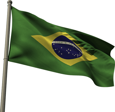 Transparent Brazilian Flag Waving on Metal Flagpole - Download Free Stock Videos Pikwizard.com