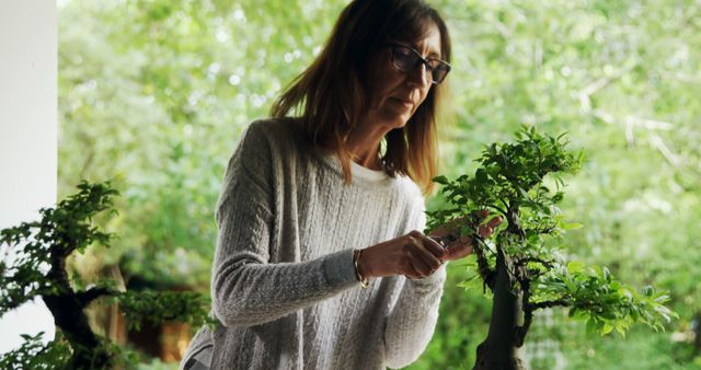 Woman Pruning Bonsai Tree in Garden - Download Free Stock Images Pikwizard.com