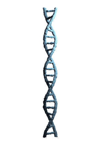 Abstract DNA Spiral in Transparent Background for Scientific Design - Download Free Stock Videos Pikwizard.com
