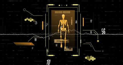 Digital skeleton with data overlay in futuristic interface