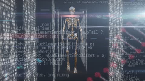 Futuristic Human Skeleton in Digital Code Interface Animation