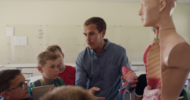 Teacher Explaining Anatomy to Engaged Students in Classroom - Download Free Stock Images Pikwizard.com