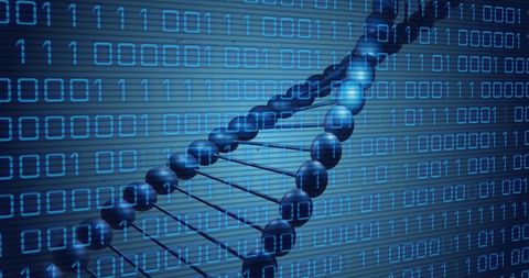 dna strand over binary code symbolizing genetic data integration - Download Free Stock Images Pikwizard.com
