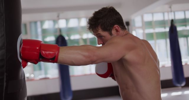 Determined Boxer Punching Heavy Bag in Gym - Download Free Stock Images Pikwizard.com