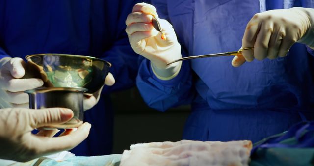 Surgeons Performing Critical Surgery in Operating Room - Download Free Stock Images Pikwizard.com