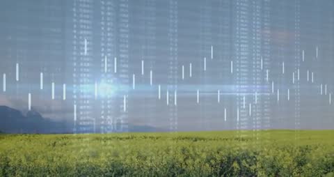 Data Visualization of Agricultural Trends Over Spring Meadow