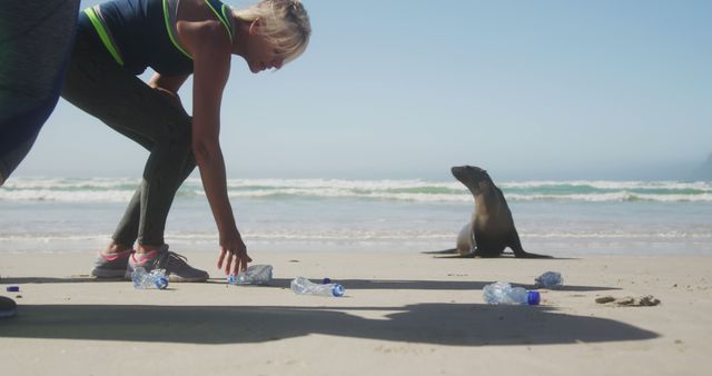 Woman cleaning beach while a sea lion is in the background looking on. Plastic bottles scattered in the sand creating awareness for environmental conservation. Ideal for uses related to nature preservation, volunteer cleanup drives, and marine life protection initiatives.