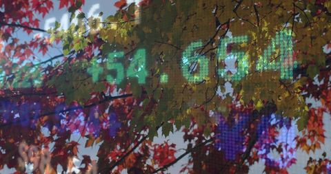 Autumn maple leaves overlaying LED market ticker with green digits and urban fall canopy