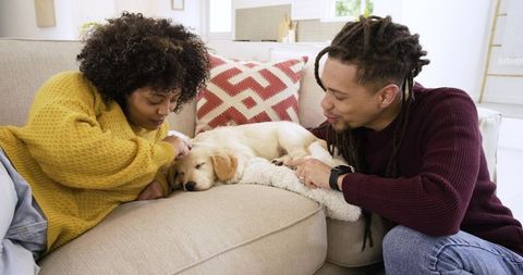 African american couple petting sleeping golden retriever puppy on cozy neutral sofa
