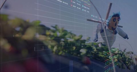 Scarecrow in berry field with digital data overlay for agtech and precision farming