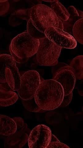 Emerging red blood cells clustering and flowing through capillary in vertical medical clip