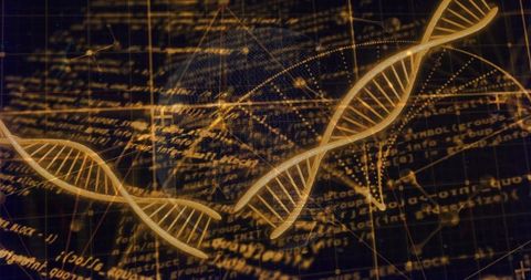 Futuristic Bioinformatics Digital Double Helix and Code