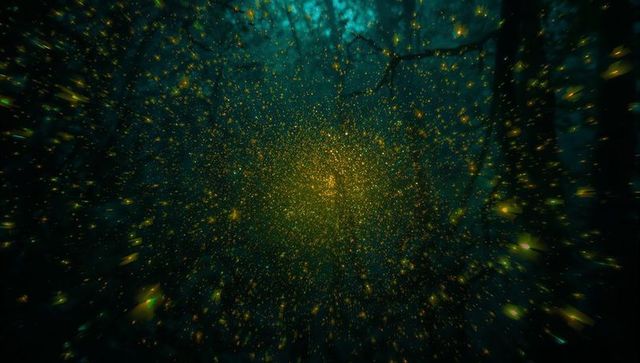 Magical swirling golden lights in enchanted forest