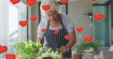 Senior woman enjoying indoor gardening with heart graphics