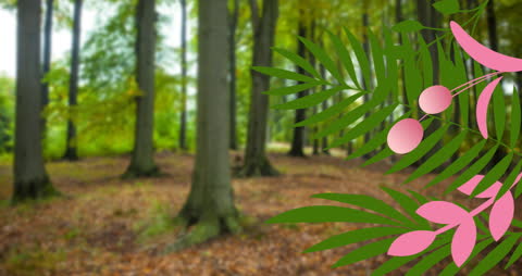 Forested Landscape with Illustrated Colorful Leaves in Foreground