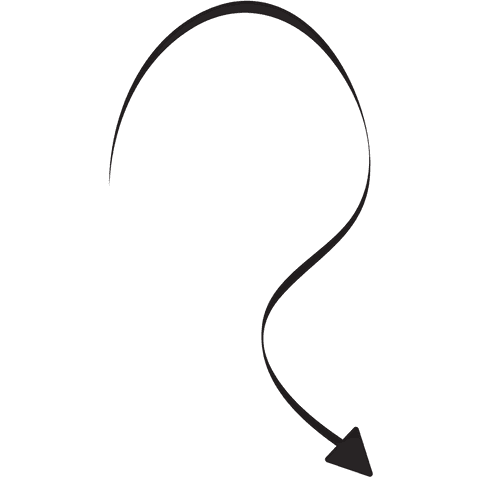curved arrow icon on transparent background for versatile use - Download Free Stock Videos Pikwizard.com