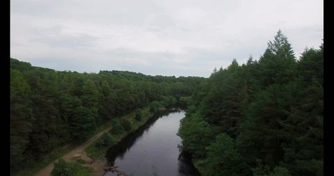 Tranquil river through lush forest under overcast skies