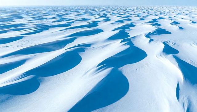 Wind-Sculpted Snow Dunes Stretching Across Arctic Icefield with Deep Blue Troughs