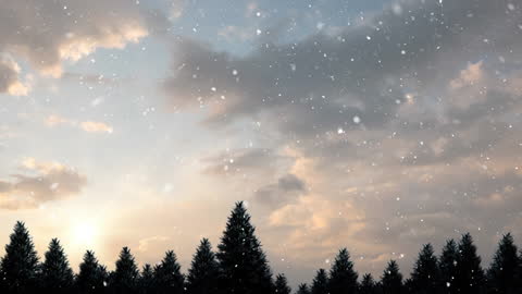 Winter Forest at Sunset with Falling Snow