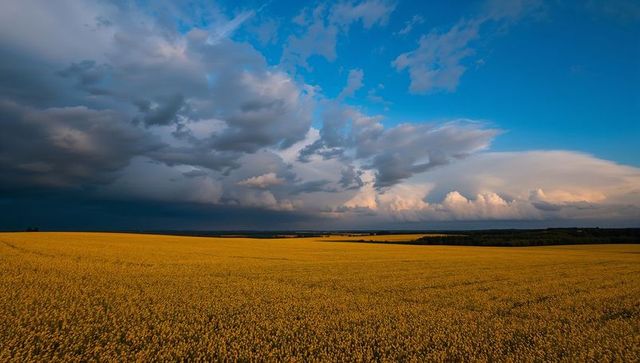Dramatic skies over golden field at sunset