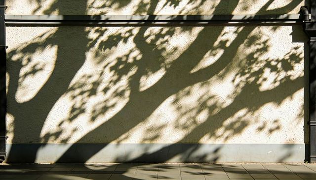 Sunlit tree shadows draping textured stucco facade over tiled sidewalk and metal rail