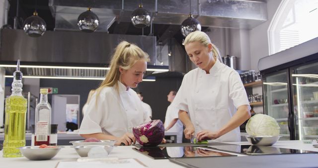 Two female chefs wearing white uniforms are preparing vegetables in a modern kitchen. One chef is slicing vegetables while the other is observing. This stock photo is perfect for depicting teamwork, culinary classes, cooking tutorials, professional kitchens, or advertising cooking courses and kitchen equipment.