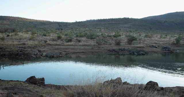 Tranquil Pond Reflecting Arid Hills at Dawn - Download Free Stock Images Pikwizard.com