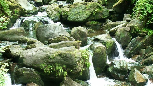 Depicts a serene mountain river flowing through moss-covered rocks in a forest setting. Ideal for use in environmental campaigns, nature documentaries, relaxation backgrounds, and promoting outdoor activities. Shows tranquility and untouched natural beauty, perfect for illustrating concepts related to freshness, calmness, and pristine environments.