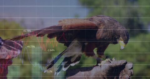 Bird of prey with financial chart: intelligence and precision
