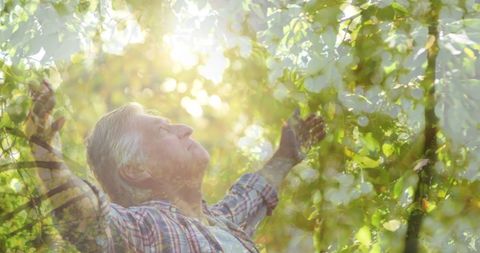 Joyful Senior Man Celebrating in Lush Forest Environment