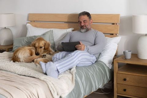 Mature man relaxing in bed with golden retriever using tablet in cozy neutral bedroom
