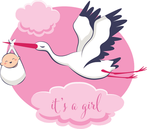 stork delivering baby girl on transparent background - Download Free Stock Videos Pikwizard.com