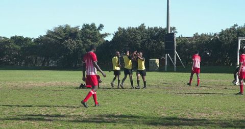 Team celebrating soccer goal on sunny park pitch