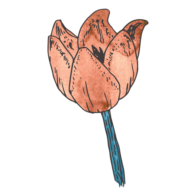 Watercolor Red Tulip Illustration on Transparent Background - Download Free Stock Videos Pikwizard.com