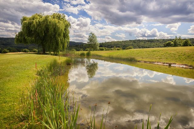 Beautiful countryside scene with a serene pond reflecting a weeping willow tree and clouds. Great for use in projects involving nature, relaxation, outdoor activities, environmental themes, or peaceful landscape backgrounds.